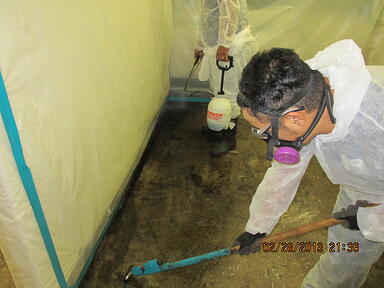 Mold Abatement Bay Area